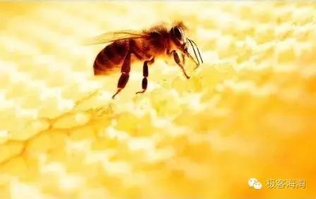 批发盒定做包装厂家有哪些_包装盒批发定做什么价钱_包装盒批发定做厂家